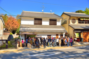 autumn-leaves-in-nara