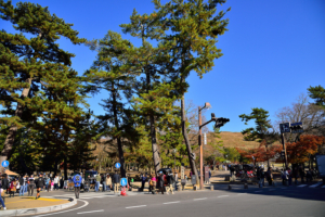 autumn-leaves-in-nara