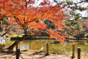 วัดโทไดจิ Todai-ji Temple