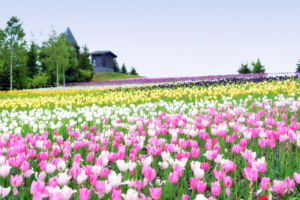 Takino Suzuran Hillside National Park