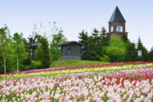 Takino Suzuran Hillside National Park