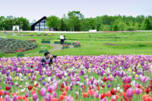 Takino Suzuran Hillside National Park