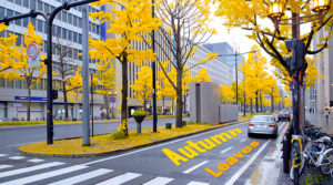 autumn-foliage-midosuji