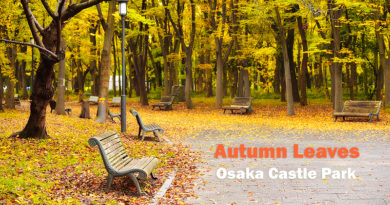autumn-osaka-castle-park-featured