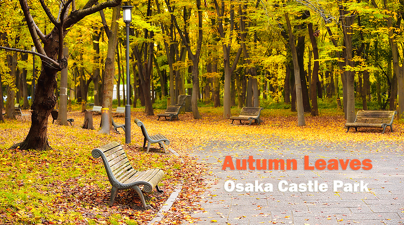 autumn-osaka-castle-park-featured