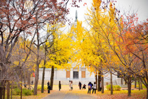 autumn-foliage-osaka-castle-park