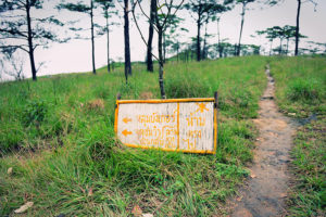 ภูสอยดาว-phusoidao