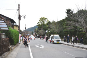 Arashiyama-Kyoto Autumn leaves