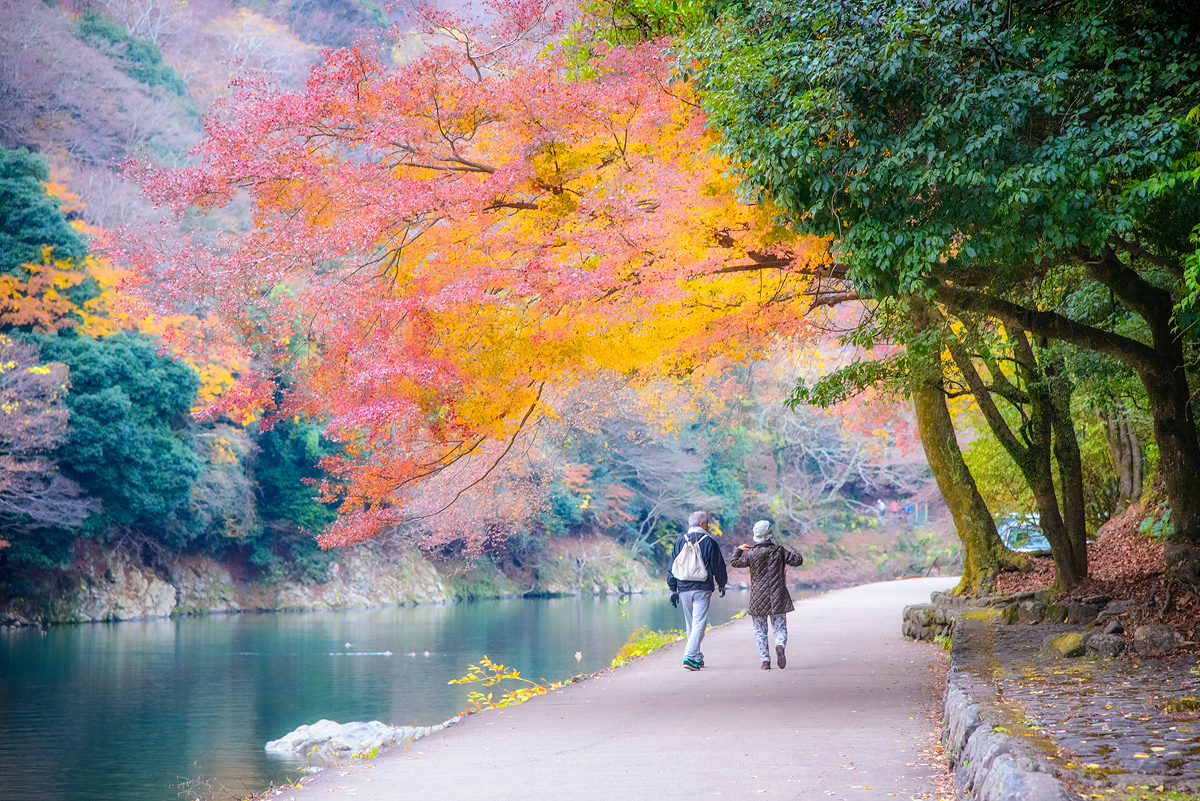 Arashiyama-Kyoto Autumn leaves