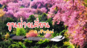 Khunchangkian-Chiangmai-ขุนช่างเคี่ยน