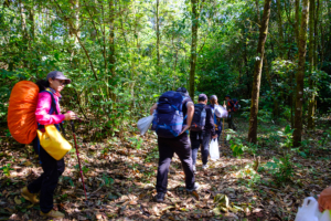 ดอยปุยหลวง ปุยน้อย ม่อนกองข้าว แม่ฮ่องสอน