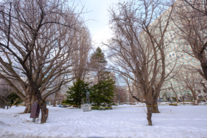 former government in winter, The public landmark of Sapporo, Hokkaido
