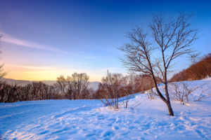 ้hokkaido moiwa โมอิวะ sapporo