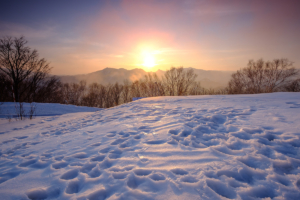 ้hokkaido moiwa โมอิวะ sapporo