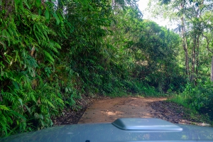 สวนยาหลวง บ้านสันเจริญ suan-ya-luang