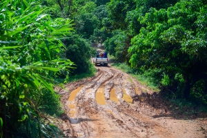 สวนยาหลวง บ้านสันเจริญ suan-ya-luang