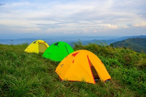 สวนยาหลวง บ้านสันเจริญ suan-ya-luang