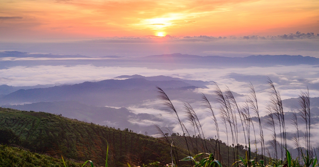 สวนยาหลวง บ้านสันเจริญ suan-ya-luang