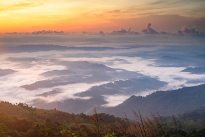 สวนยาหลวง บ้านสันเจริญ suan-ya-luang