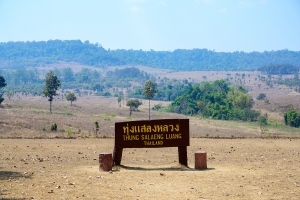 ทุ่งแสลงหลวง หนองแม่นา