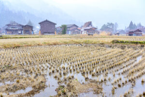 ชิราคาวาโกะ Shirakawa-go