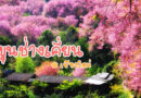 Khunchangkian-Chiangmai-ขุนช่างเคี่ยน